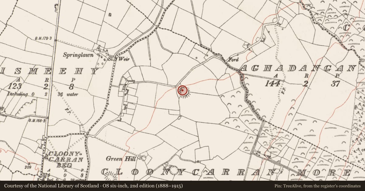 Ordnance Survey six-inch map, 2nd edition (1888–1915) covering the location of Ringfort - rath, Cloonycarran More, County Roscommon, with a pin at the register's coordinates