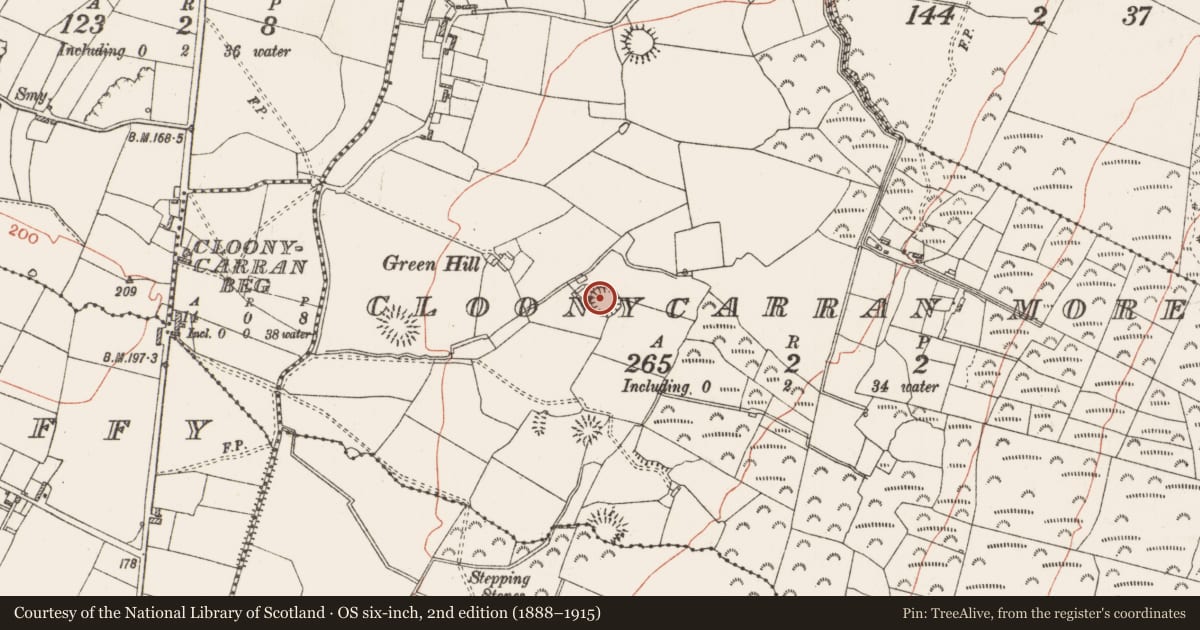 Ordnance Survey six-inch map, 2nd edition (1888–1915) covering the location of Ringfort - rath, Cloonycarran More, County Roscommon, with a pin at the register's coordinates