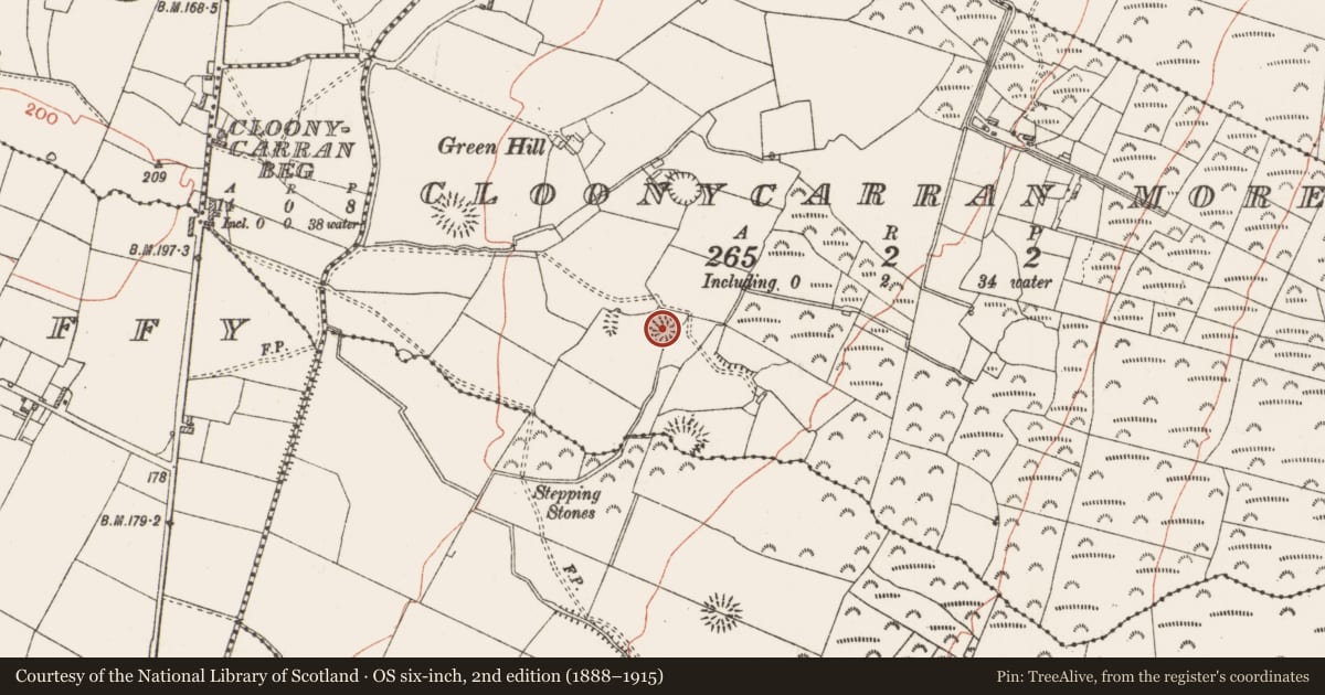 Ordnance Survey six-inch map, 2nd edition (1888–1915) covering the location of Ringfort - rath, Cloonycarran More, County Roscommon, with a pin at the register's coordinates