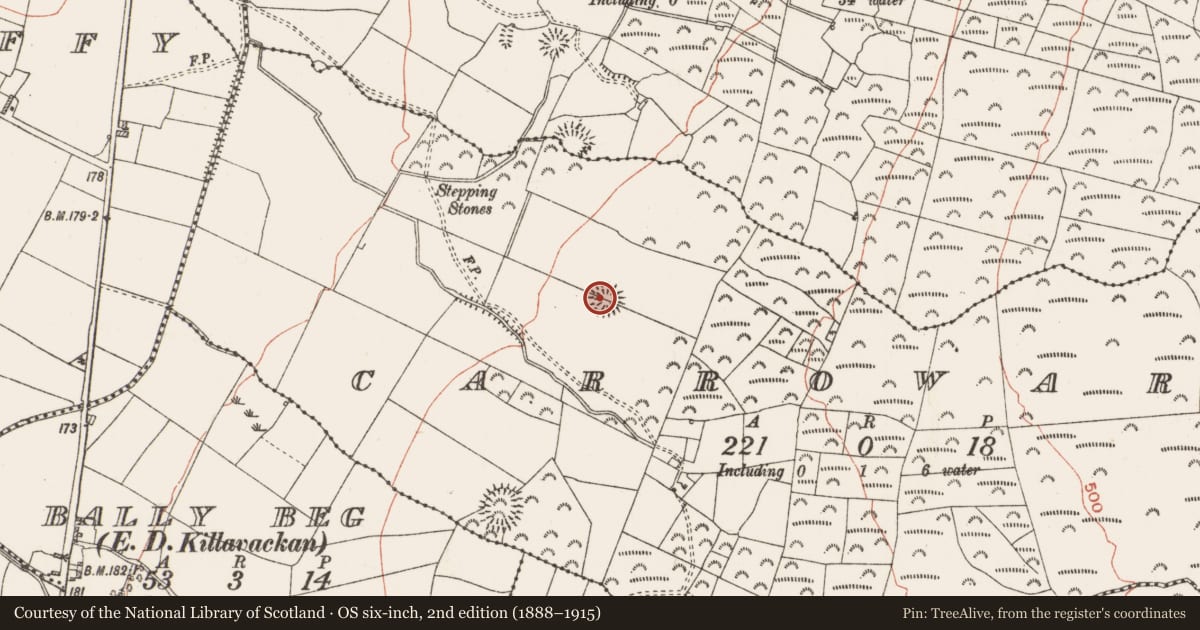 Ordnance Survey six-inch map, 2nd edition (1888–1915) covering the location of Ringfort - rath, Carroward, County Roscommon, with a pin at the register's coordinates