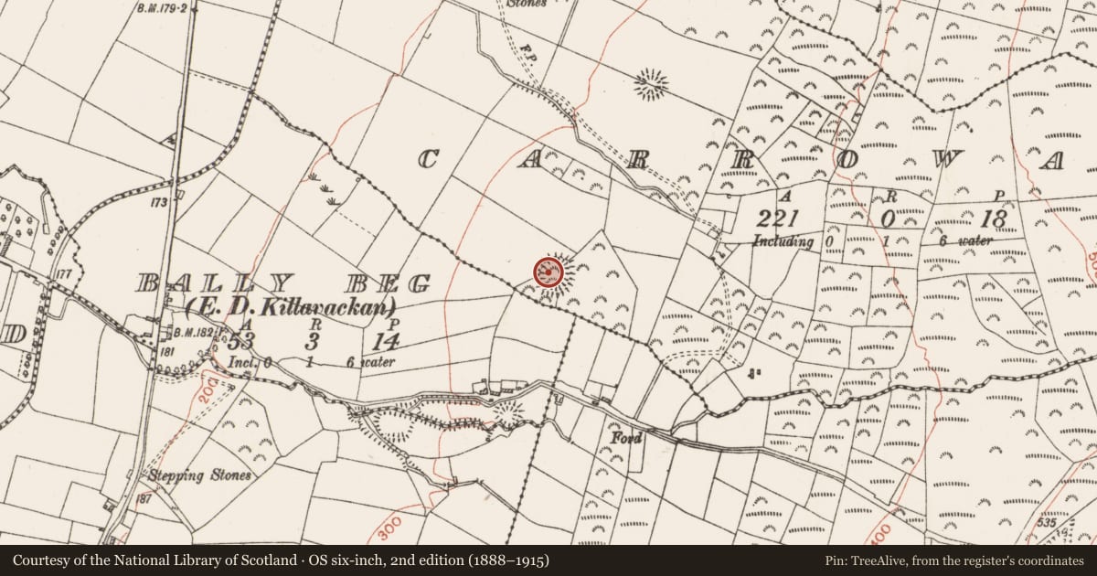 Ordnance Survey six-inch map, 2nd edition (1888–1915) covering the location of Ringfort - rath, Carroward, County Roscommon, with a pin at the register's coordinates