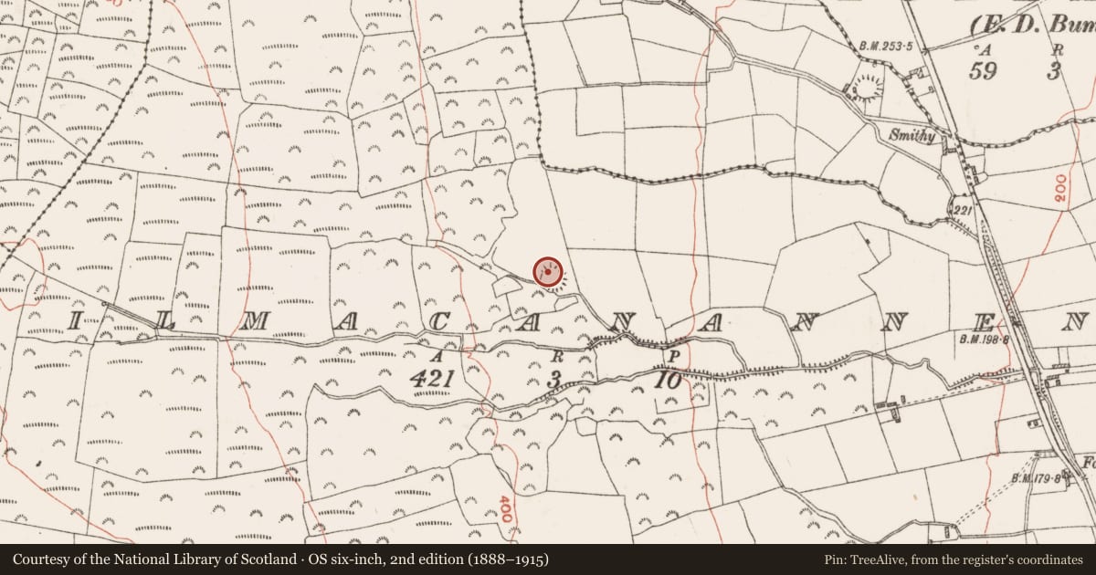 Ordnance Survey six-inch map, 2nd edition (1888–1915) covering the location of Ringfort - rath, Kilmacananneny, County Roscommon, with a pin at the register's coordinates