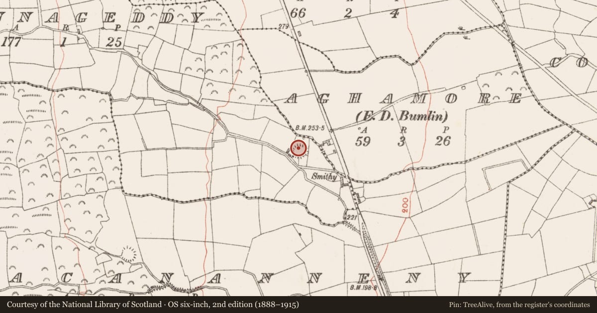 Ordnance Survey six-inch map, 2nd edition (1888–1915) covering the location of Ringfort - rath, Bunnageddy, County Roscommon, with a pin at the register's coordinates