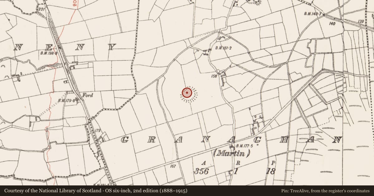 Ordnance Survey six-inch map, 2nd edition (1888–1915) covering the location of Ringfort - rath, Granaghan (Martin), County Roscommon, with a pin at the register's coordinates