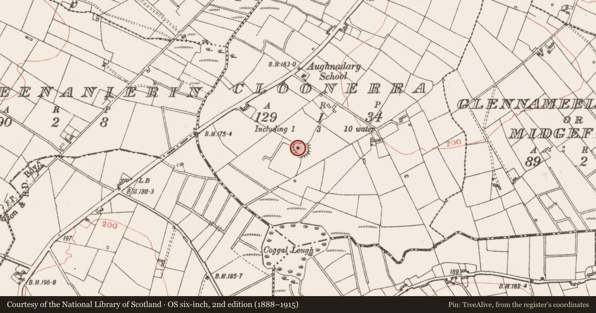 Ordnance Survey six-inch map, 2nd edition (1888–1915) covering the location of Ringfort - rath, Cloonerra, County Roscommon, with a pin at the register's coordinates