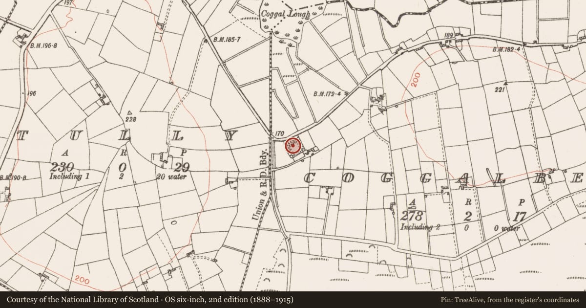 Ordnance Survey six-inch map, 2nd edition (1888–1915) covering the location of Moated site, Coggalbeg, County Roscommon, with a pin at the register's coordinates