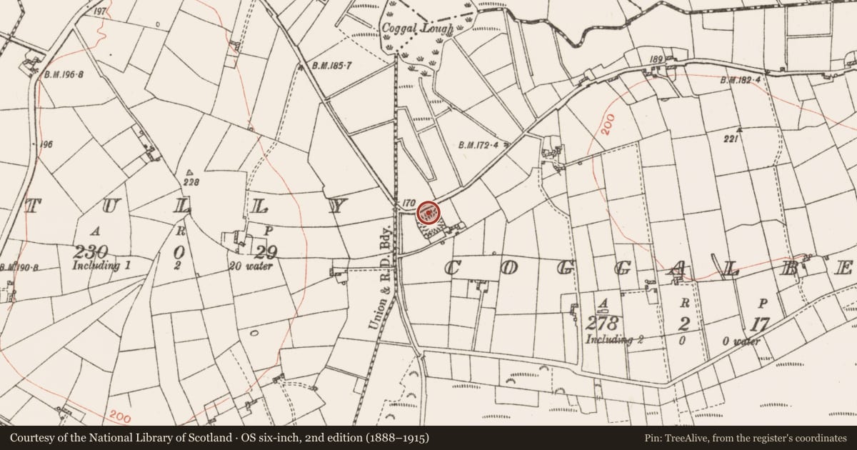 Ordnance Survey six-inch map, 2nd edition (1888–1915) covering the location of House - indeterminate date, Coggalbeg, County Roscommon, with a pin at the register's coordinates