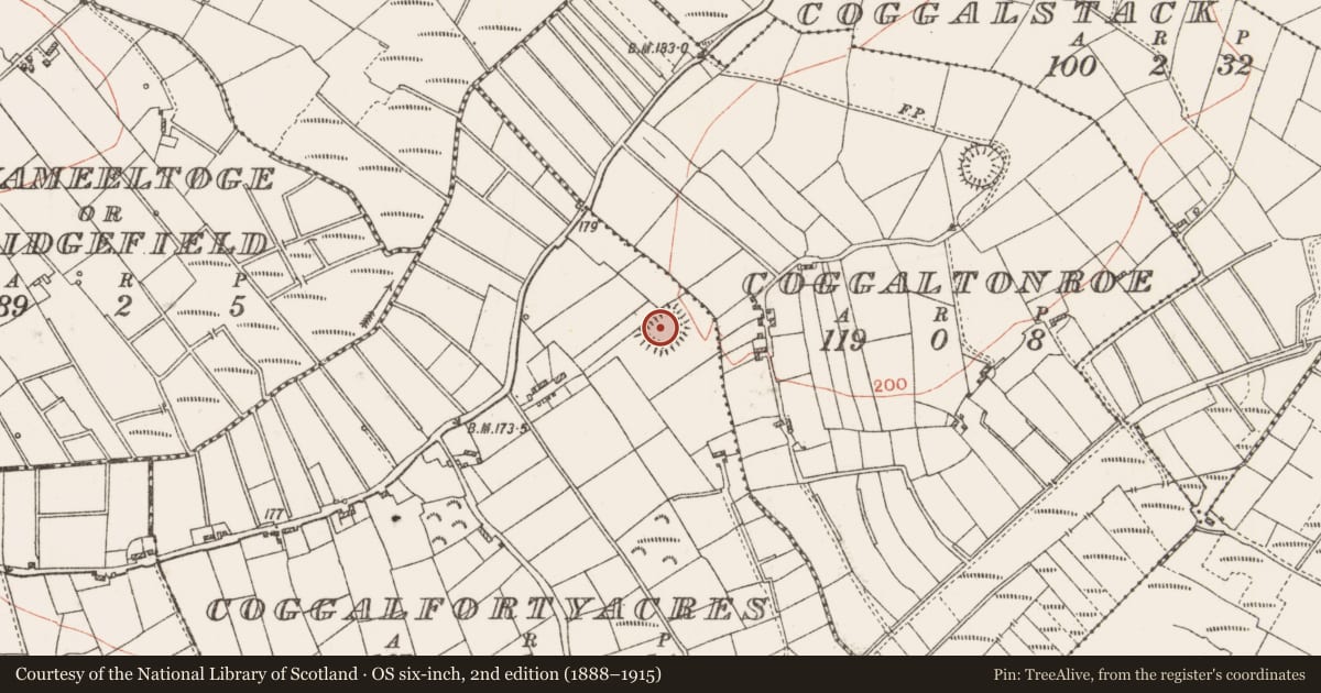 Ordnance Survey six-inch map, 2nd edition (1888–1915) covering the location of Ringfort - rath, Coggalfortyacres, County Roscommon, with a pin at the register's coordinates