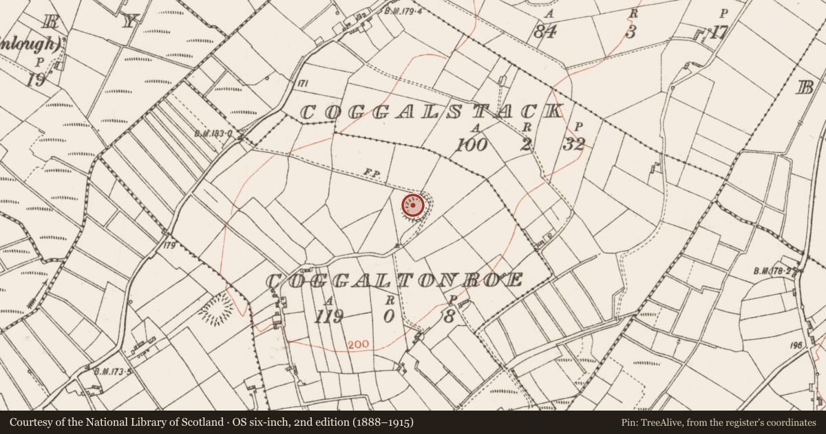 Ordnance Survey six-inch map, 2nd edition (1888–1915) covering the location of Ringfort - rath, Coggaltonroe, County Roscommon, with a pin at the register's coordinates
