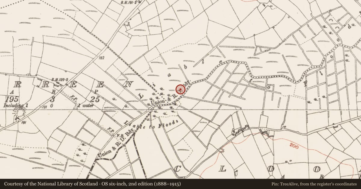 Ordnance Survey six-inch map, 2nd edition (1888–1915) covering the location of Crannog, Moher, County Roscommon, with a pin at the register's coordinates