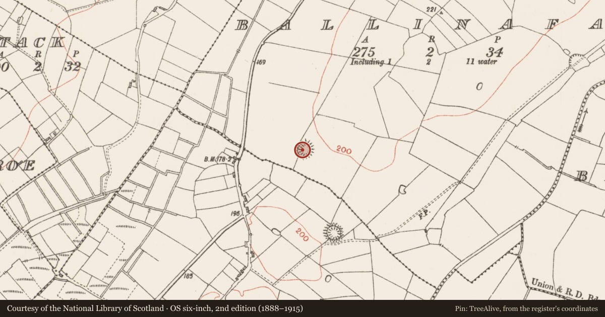 Ordnance Survey six-inch map, 2nd edition (1888–1915) covering the location of Ringfort - rath, Ballinafad, County Roscommon, with a pin at the register's coordinates