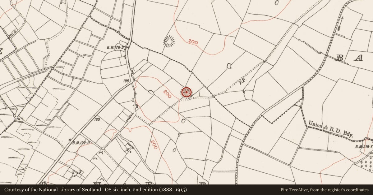 Ordnance Survey six-inch map, 2nd edition (1888–1915) covering the location of Ringfort - rath, Moher, County Roscommon, with a pin at the register's coordinates