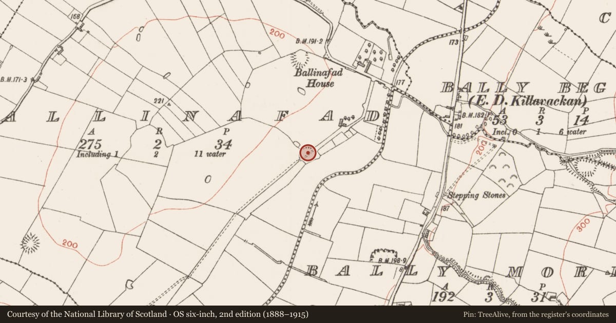 Ordnance Survey six-inch map, 2nd edition (1888–1915) covering the location of Ringfort - rath, Ballinafad, County Roscommon, with a pin at the register's coordinates
