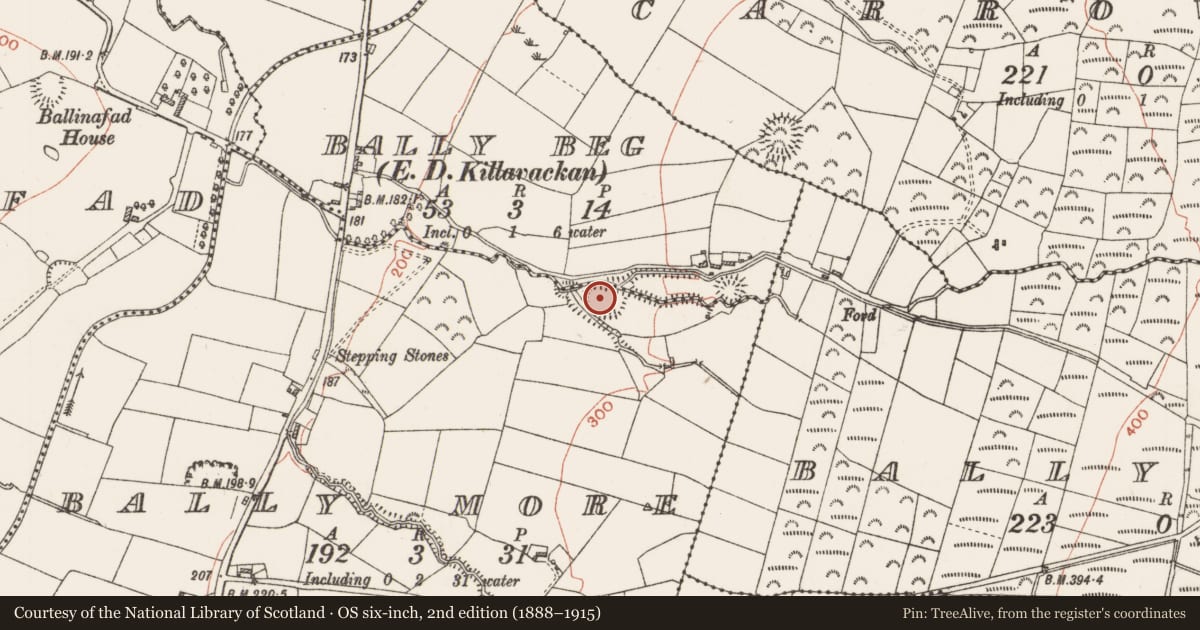 Ordnance Survey six-inch map, 2nd edition (1888–1915) covering the location of Promontory fort - inland, Bally More, County Roscommon, with a pin at the register's coordinates