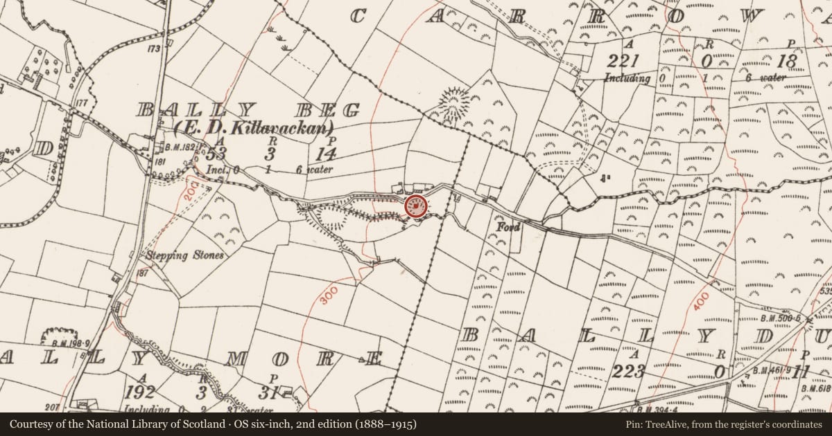 Ordnance Survey six-inch map, 2nd edition (1888–1915) covering the location of Ringfort - rath, Ballybeg, County Roscommon, with a pin at the register's coordinates