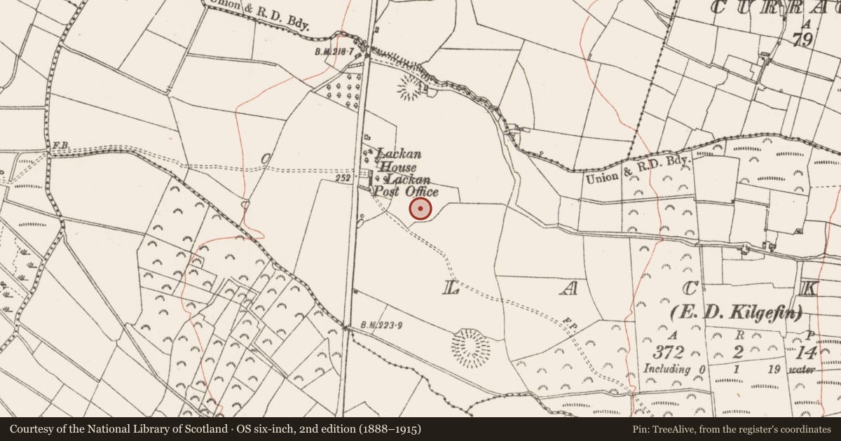 Ordnance Survey six-inch map, 2nd edition (1888–1915) covering the location of Ringfort - rath, Lackan, County Roscommon, with a pin at the register's coordinates