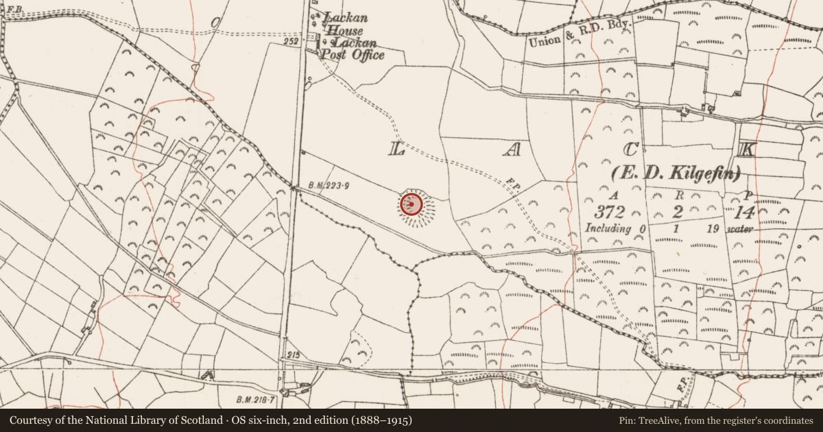 Ordnance Survey six-inch map, 2nd edition (1888–1915) covering the location of Ringfort - rath, Lackan, County Roscommon, with a pin at the register's coordinates