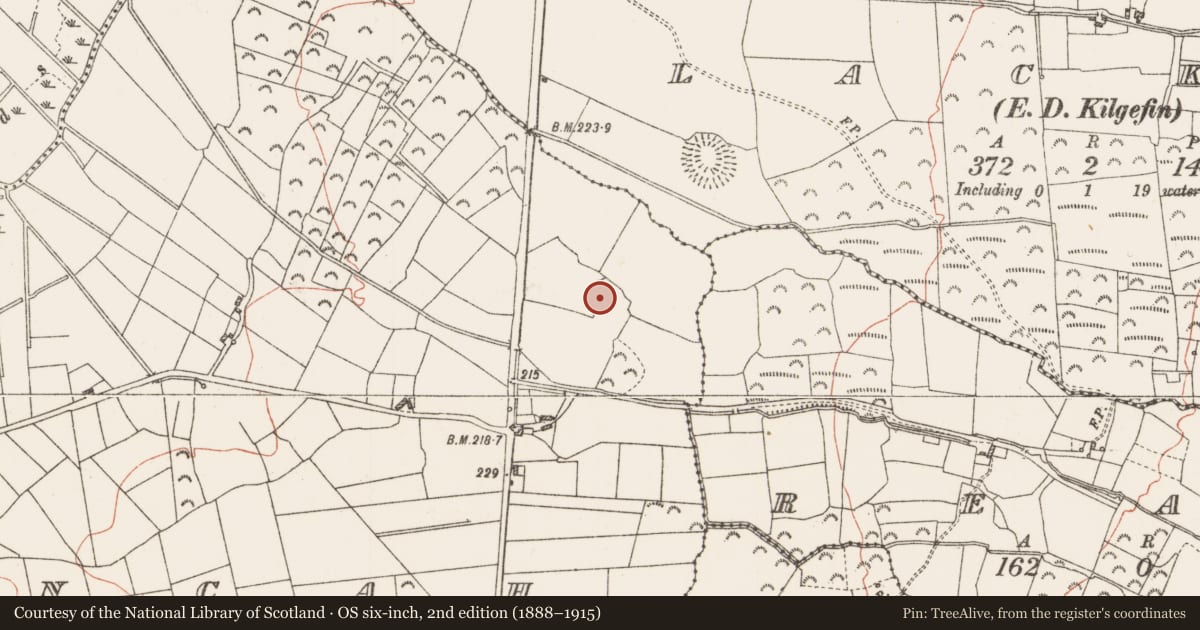 Ordnance Survey six-inch map, 2nd edition (1888–1915) covering the location of Ringfort - rath, Clooncah, County Roscommon, with a pin at the register's coordinates
