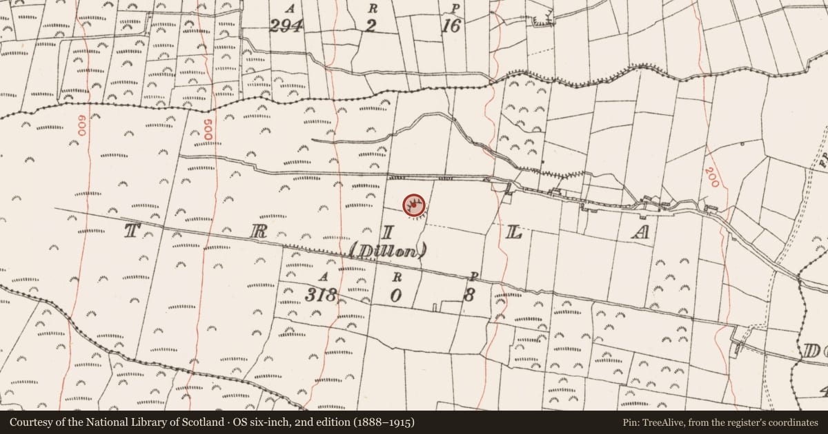 Ordnance Survey six-inch map, 2nd edition (1888–1915) covering the location of Ringfort - rath, Trila (Dillon), County Roscommon, with a pin at the register's coordinates