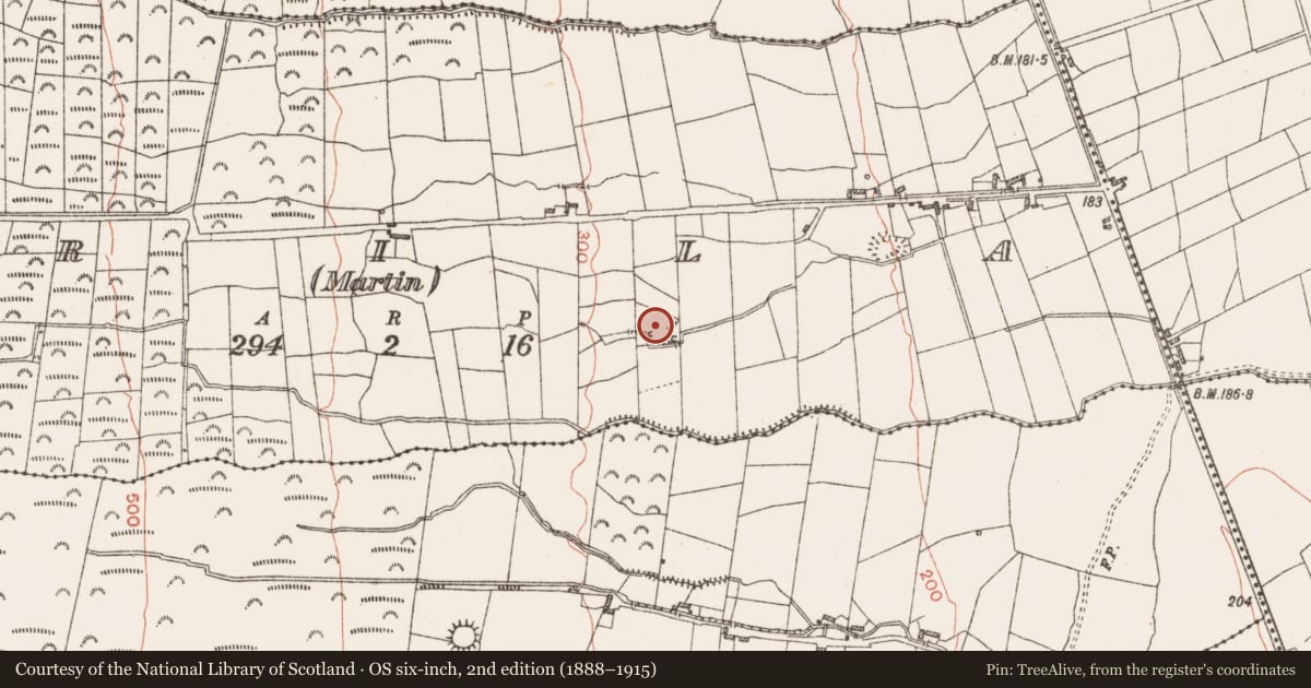 Ordnance Survey six-inch map, 2nd edition (1888–1915) covering the location of Ringfort - rath, Trila (Martin), County Roscommon, with a pin at the register's coordinates