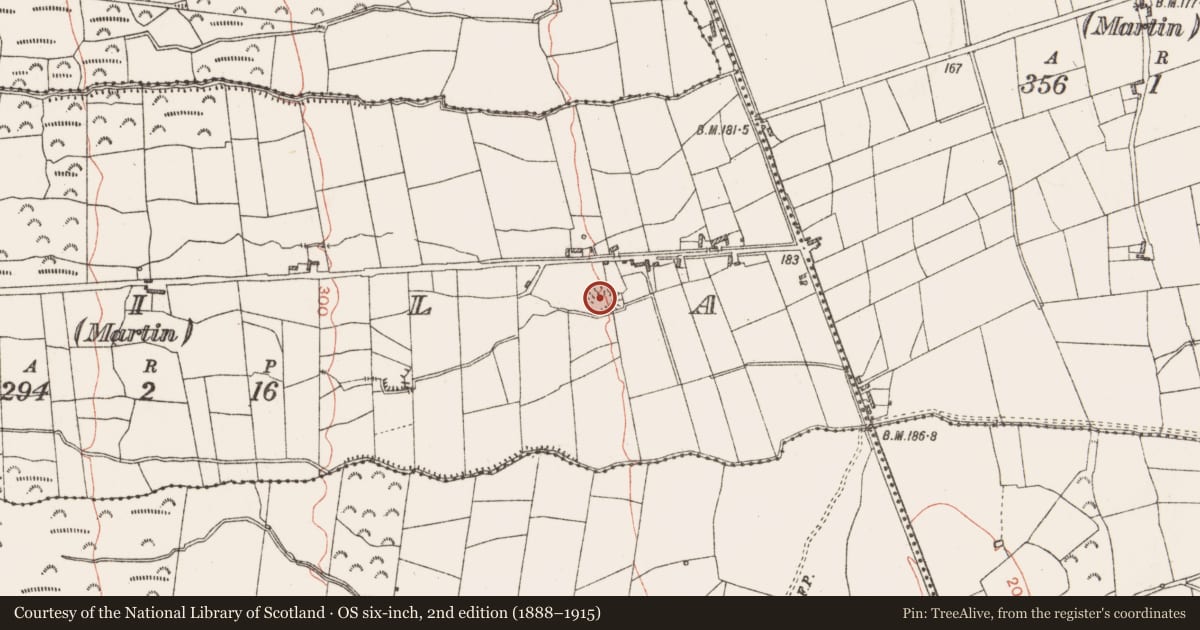 Ordnance Survey six-inch map, 2nd edition (1888–1915) covering the location of Ringfort - rath, Trila (Martin), County Roscommon, with a pin at the register's coordinates