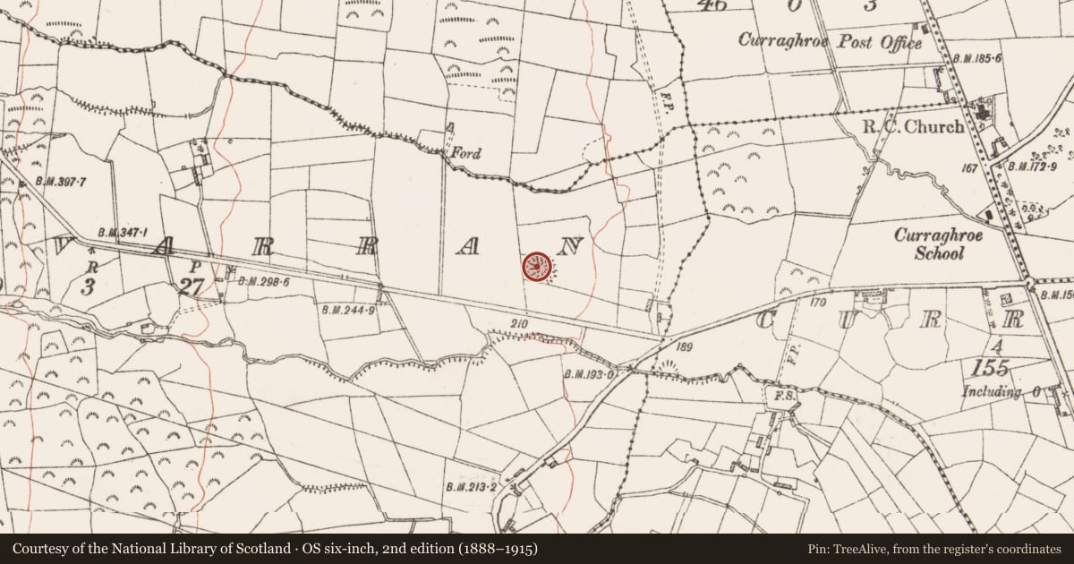 Ordnance Survey six-inch map, 2nd edition (1888–1915) covering the location of Barrow - ring-barrow, Tullyvarran, County Roscommon, with a pin at the register's coordinates