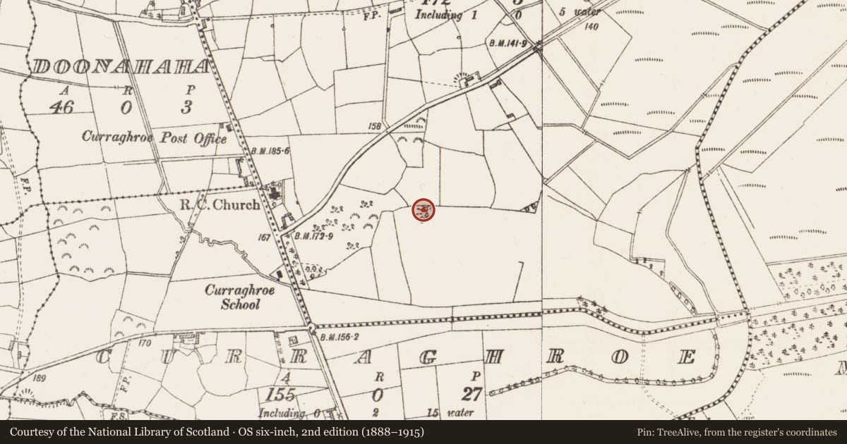 Ordnance Survey six-inch map, 2nd edition (1888–1915) covering the location of Quarry, Granaghan (Dillon), County Roscommon, with a pin at the register's coordinates