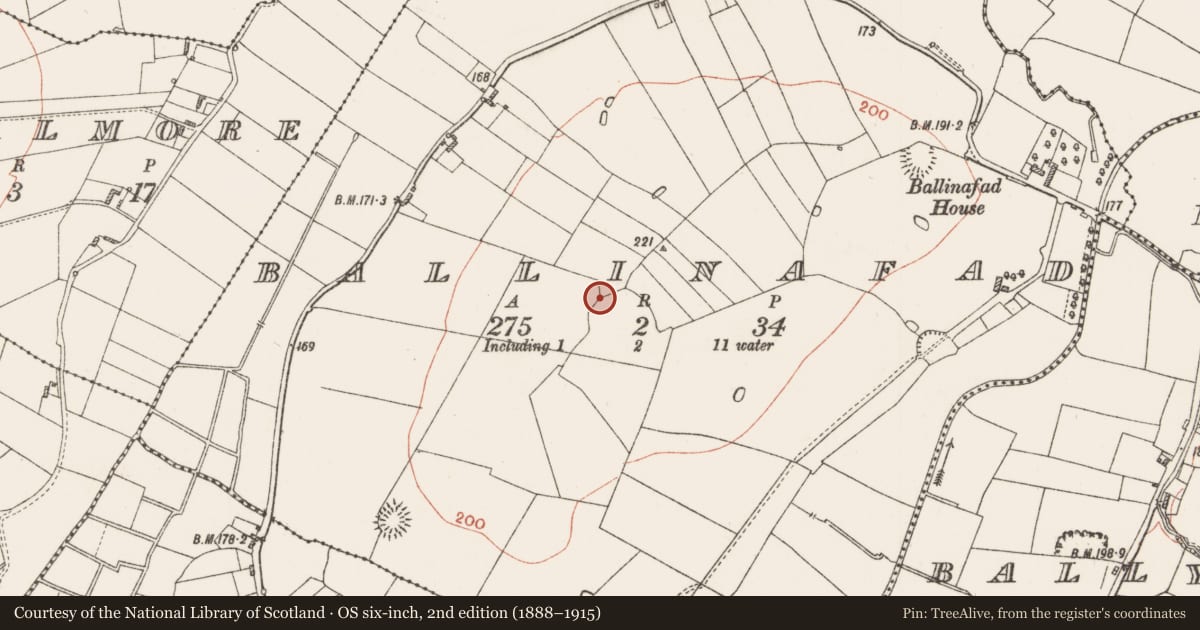 Ordnance Survey six-inch map, 2nd edition (1888–1915) covering the location of Church, Ballinafad, County Roscommon, with a pin at the register's coordinates