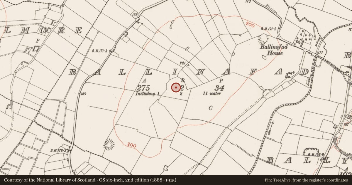 Ordnance Survey six-inch map, 2nd edition (1888–1915) covering the location of Ecclesiastical enclosure, Ballinafad, County Roscommon, with a pin at the register's coordinates