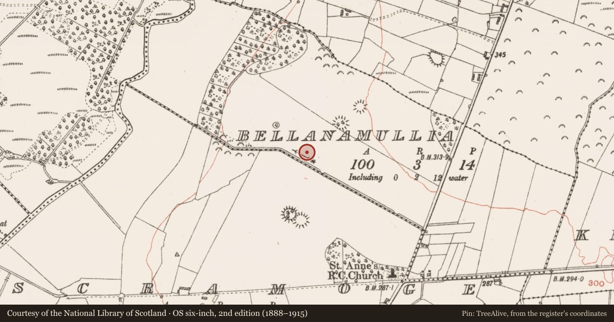 Ordnance Survey six-inch map, 2nd edition (1888–1915) covering the location of Settlement cluster, Bellanamullia, County Roscommon, with a pin at the register's coordinates