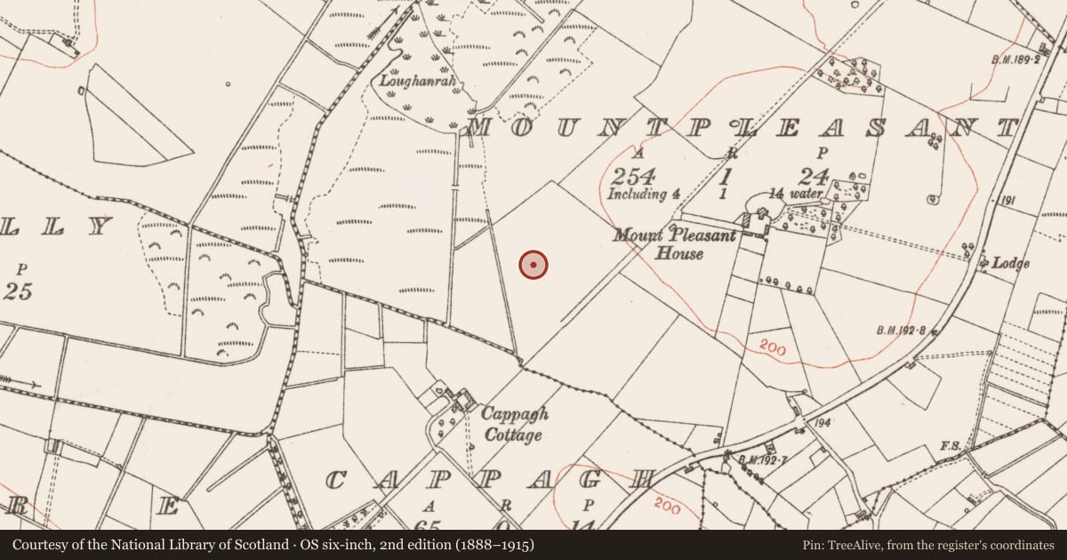 Ordnance Survey six-inch map, 2nd edition (1888–1915) covering the location of Ringfort - rath, Mountpleasant, County Roscommon, with a pin at the register's coordinates