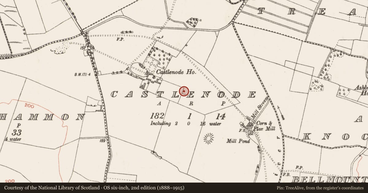 Ordnance Survey six-inch map, 2nd edition (1888–1915) covering the location of Ringfort - rath, Castlenode, County Roscommon, with a pin at the register's coordinates
