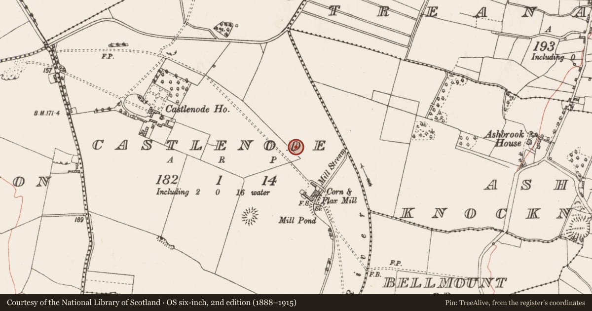 Ordnance Survey six-inch map, 2nd edition (1888–1915) covering the location of Moated site, Castlenode, County Roscommon, with a pin at the register's coordinates