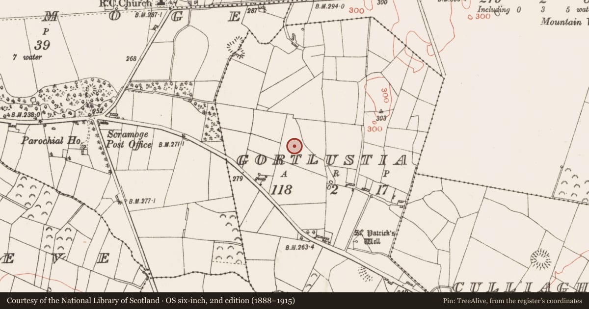 Ordnance Survey six-inch map, 2nd edition (1888–1915) covering the location of Burnt mound, Gortlustia, County Roscommon, with a pin at the register's coordinates