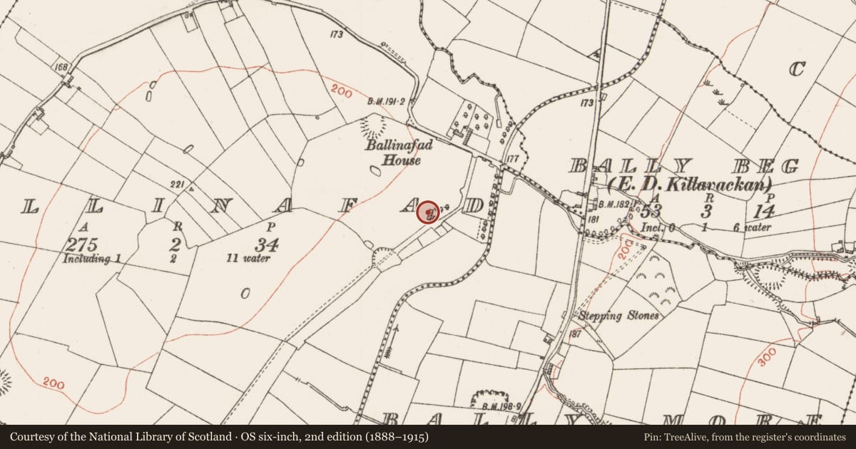 Ordnance Survey six-inch map, 2nd edition (1888–1915) covering the location of House - 18th/19th century, Ballinafad, County Roscommon, with a pin at the register's coordinates