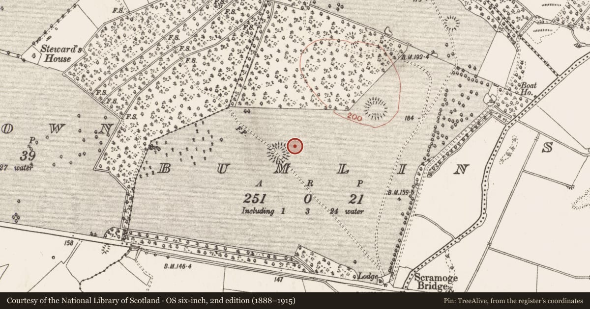 Ordnance Survey six-inch map, 2nd edition (1888–1915) covering the location of Barrow - ditch barrow, Bumlin, County Roscommon, with a pin at the register's coordinates
