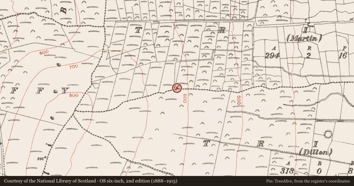 Ordnance Survey six-inch map, 2nd edition (1888–1915) covering the location of Church, Trila (Dillon), County Roscommon, with a pin at the register's coordinates