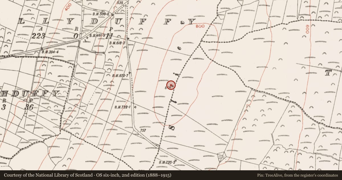 Ordnance Survey six-inch map, 2nd edition (1888–1915) covering the location of Cairn - unclassified, Ballyduffy, County Roscommon, with a pin at the register's coordinates