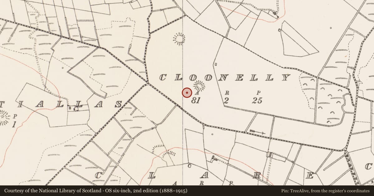 Ordnance Survey six-inch map, 2nd edition (1888–1915) covering the location of Fulacht fia, Cloonelly, County Roscommon, with a pin at the register's coordinates