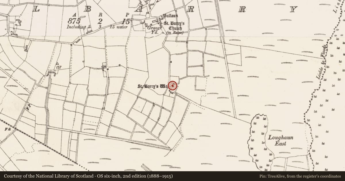 Ordnance Survey six-inch map, 2nd edition (1888–1915) covering the location of Ritual site - holy well, Kilbarry, County Roscommon, with a pin at the register's coordinates