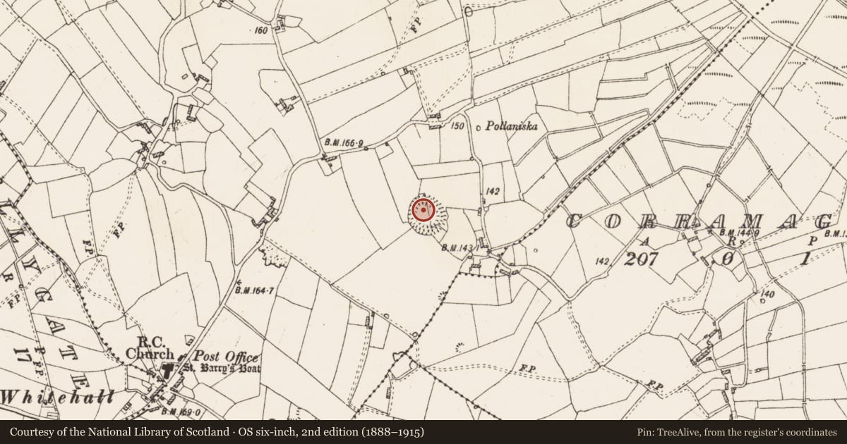 Ordnance Survey six-inch map, 2nd edition (1888–1915) covering the location of Ringfort - rath, Newtown, County Roscommon, with a pin at the register's coordinates