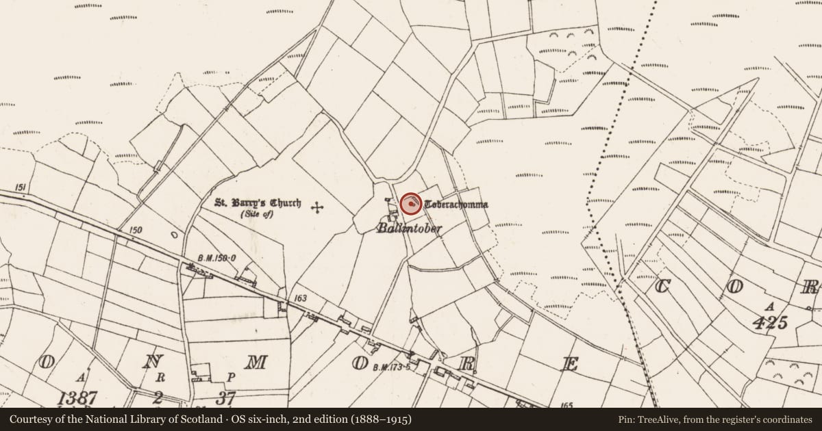 Ordnance Survey six-inch map, 2nd edition (1888–1915) covering the location of Ritual site - holy well, Cloonmore, County Roscommon, with a pin at the register's coordinates