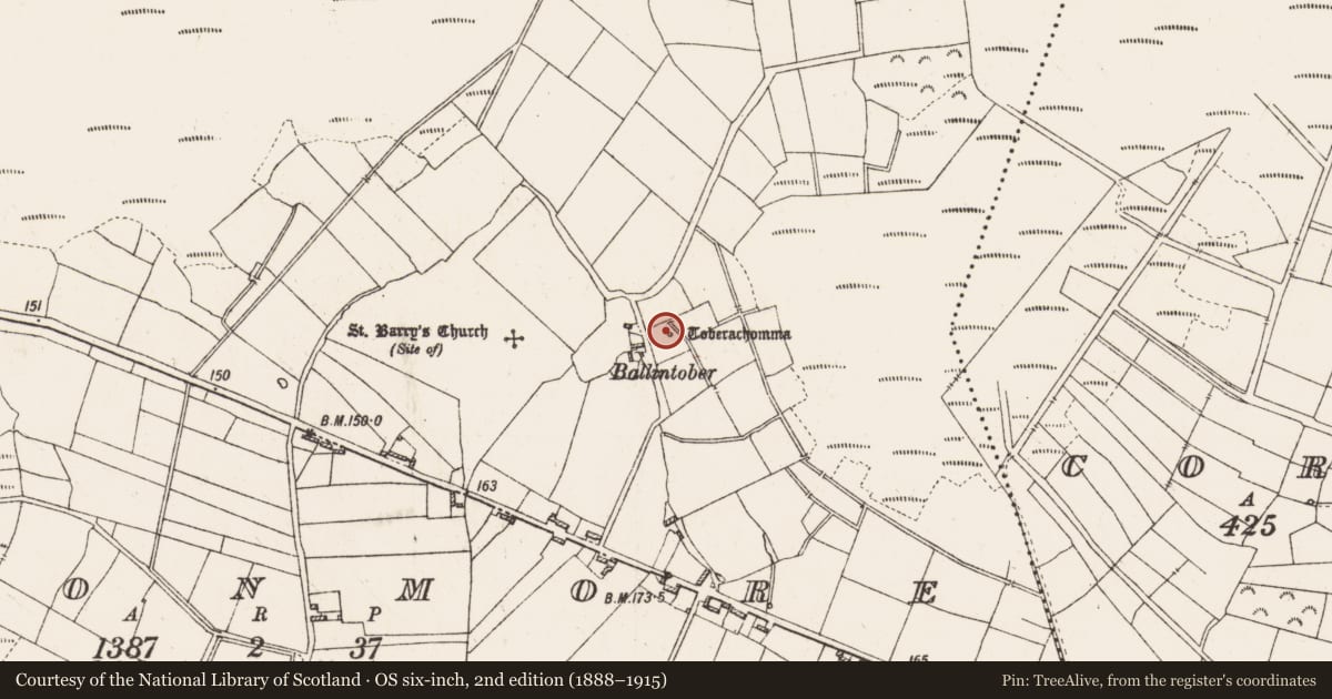 Ordnance Survey six-inch map, 2nd edition (1888–1915) covering the location of Penitential station, Cloonmore, County Roscommon, with a pin at the register's coordinates