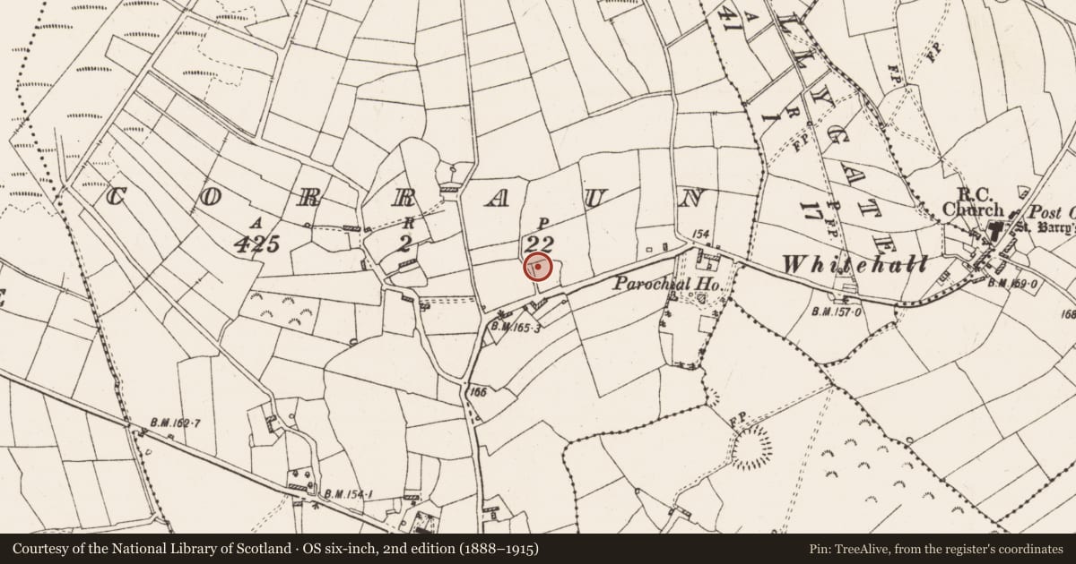 Ordnance Survey six-inch map, 2nd edition (1888–1915) covering the location of Ringfort - rath, Corraun, County Roscommon, with a pin at the register's coordinates