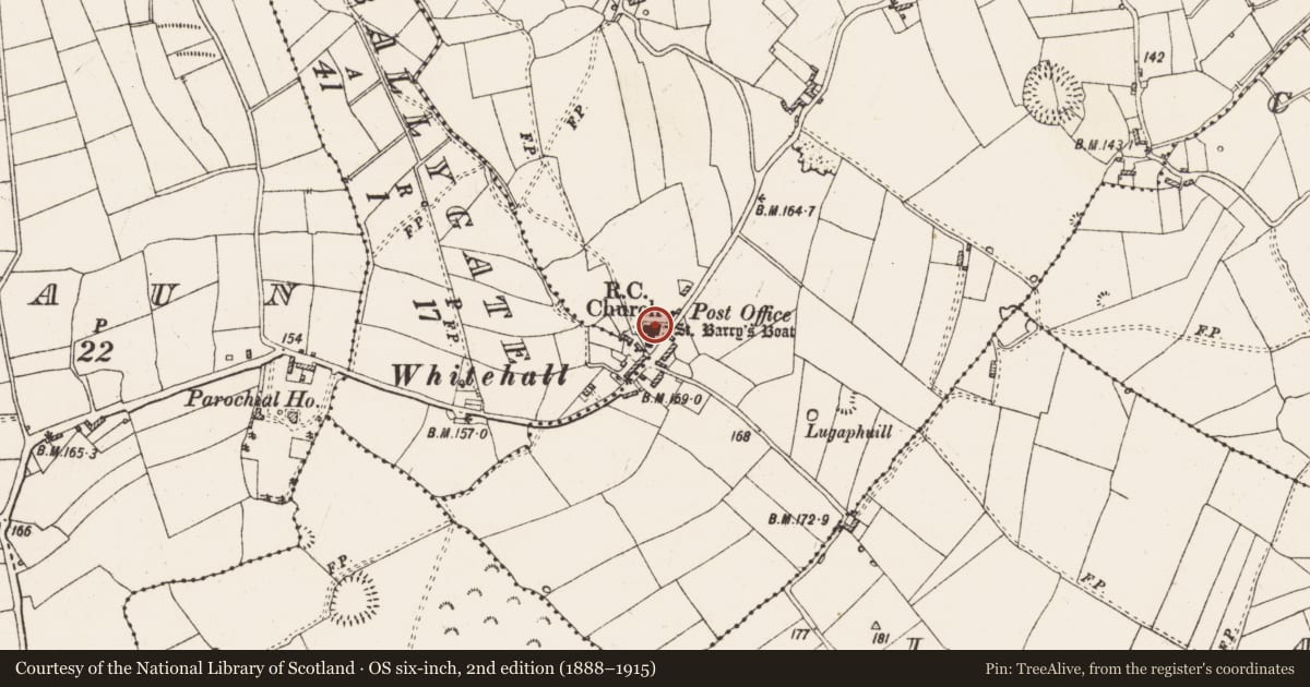 Ordnance Survey six-inch map, 2nd edition (1888–1915) covering the location of Ritual site - holy/saint's stone (present location), Newtown, County Roscommon, with a pin at the register's coordinates
