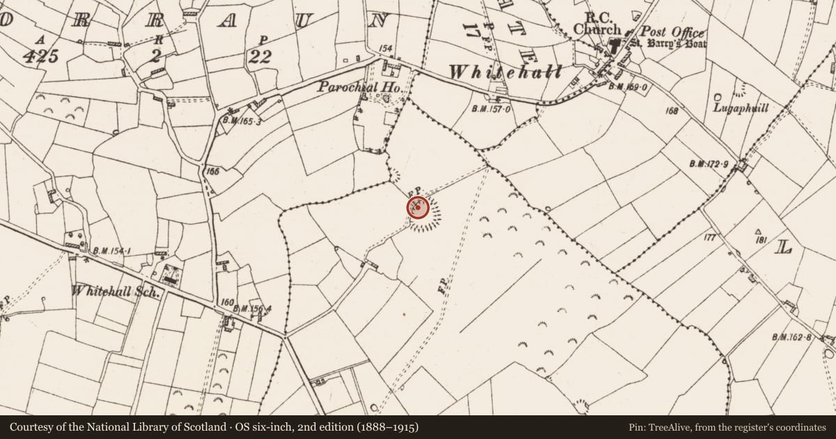 Ordnance Survey six-inch map, 2nd edition (1888–1915) covering the location of Ringfort - rath, Ballytoohey, County Roscommon, with a pin at the register's coordinates