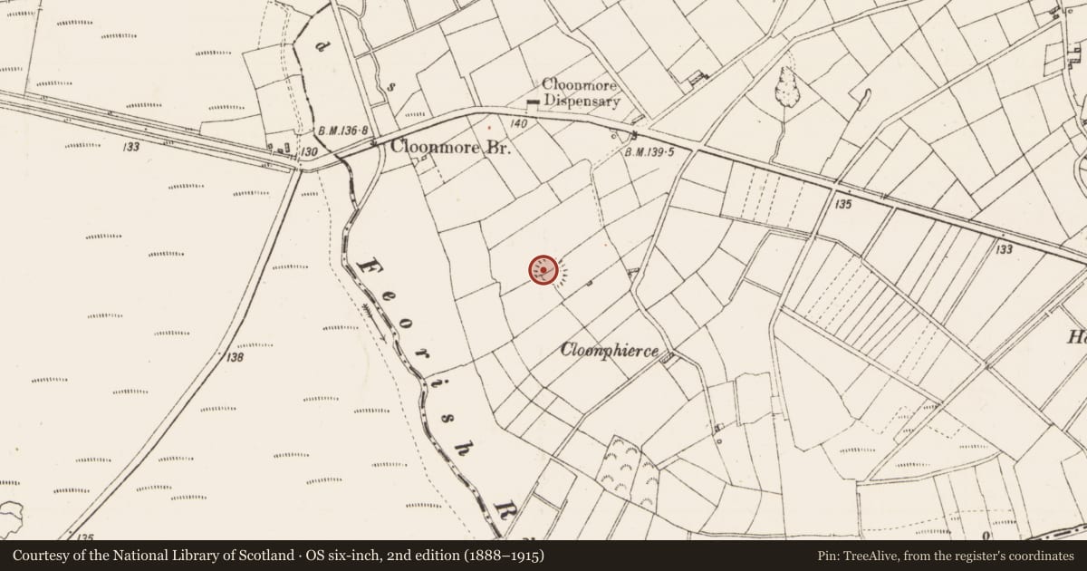 Ordnance Survey six-inch map, 2nd edition (1888–1915) covering the location of Ringfort - rath, Cloonmore, County Roscommon, with a pin at the register's coordinates