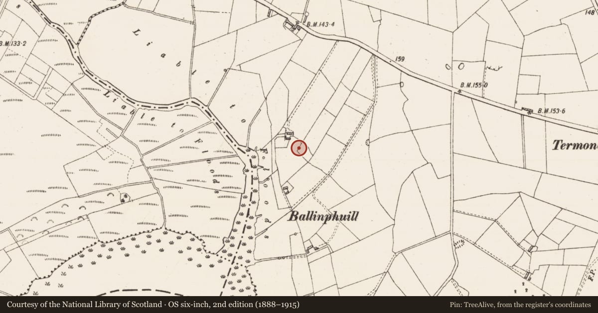 Ordnance Survey six-inch map, 2nd edition (1888–1915) covering the location of Ringfort - rath, Ballytoohey, County Roscommon, with a pin at the register's coordinates