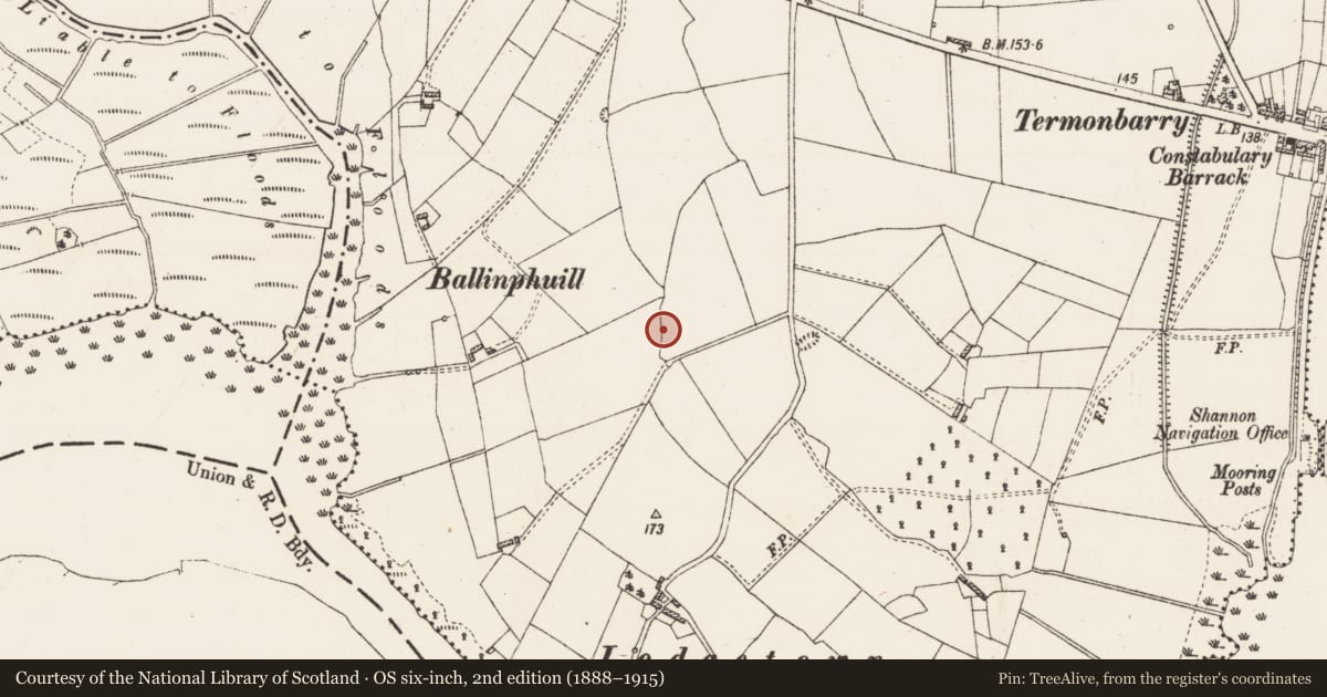 Ordnance Survey six-inch map, 2nd edition (1888–1915) covering the location of Ringfort - rath, Ballytoohey, County Roscommon, with a pin at the register's coordinates