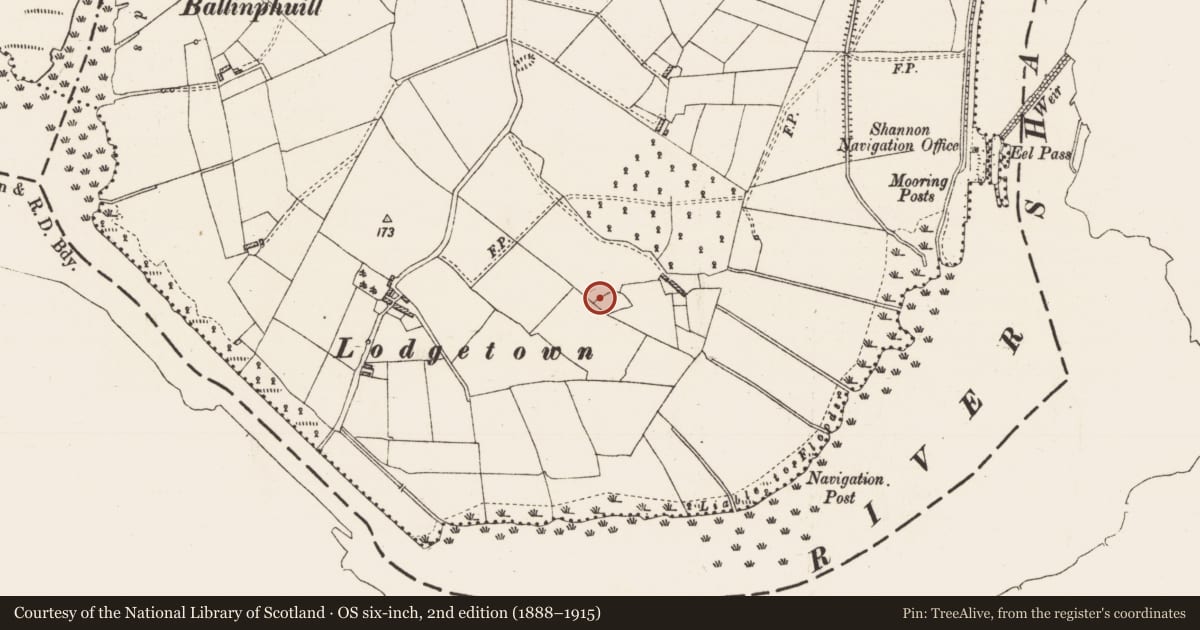 Ordnance Survey six-inch map, 2nd edition (1888–1915) covering the location of Enclosure, Ballytoohey, County Roscommon, with a pin at the register's coordinates
